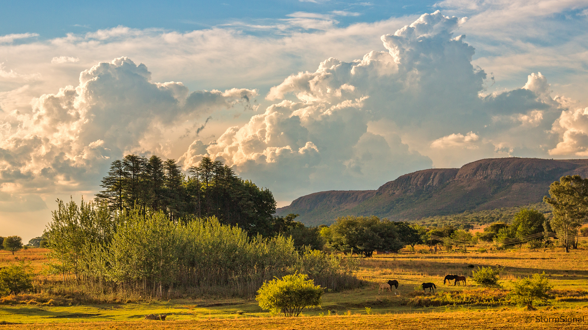 Thaba Manzi Ranch