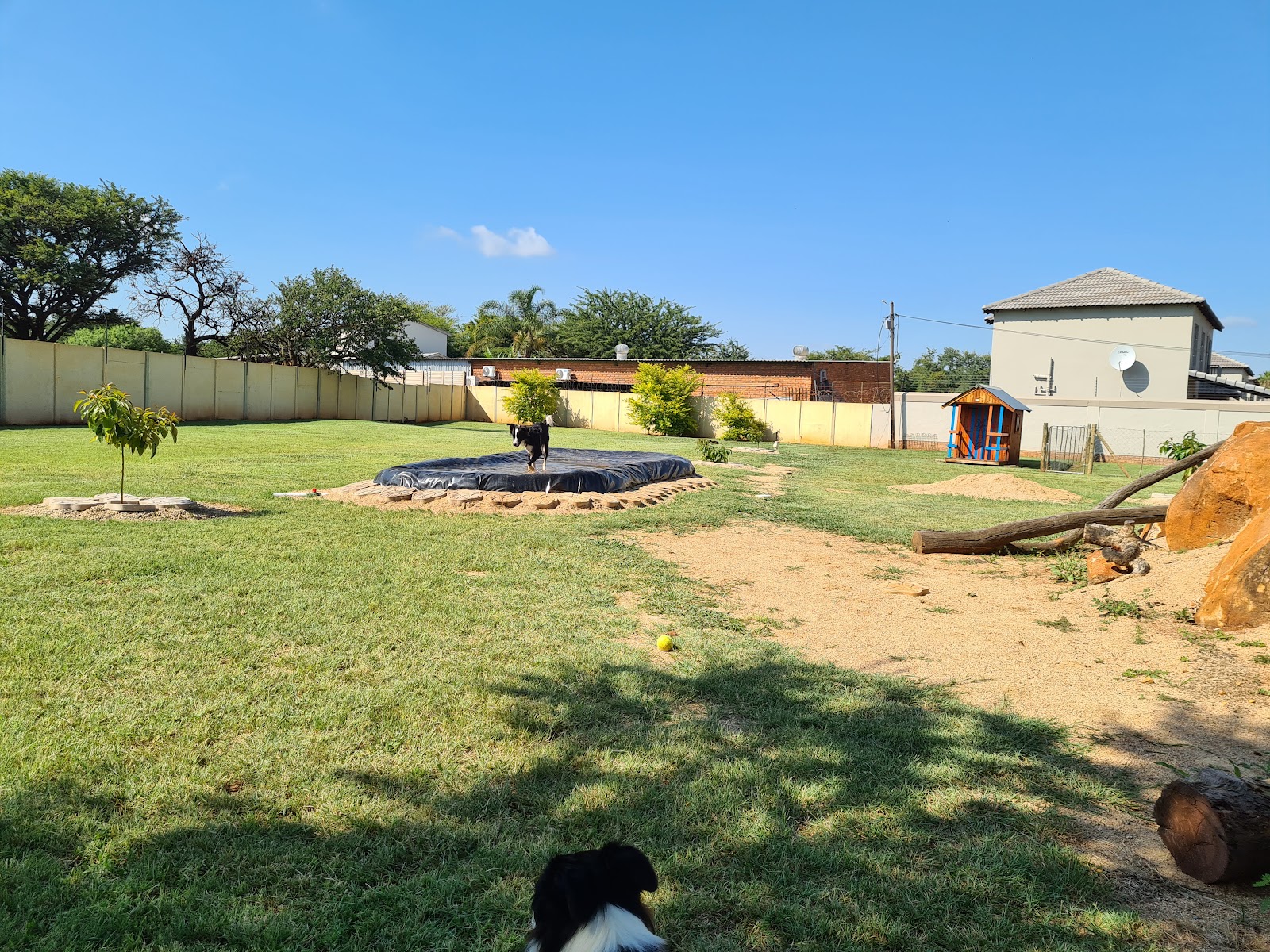 Harmony K9 Village