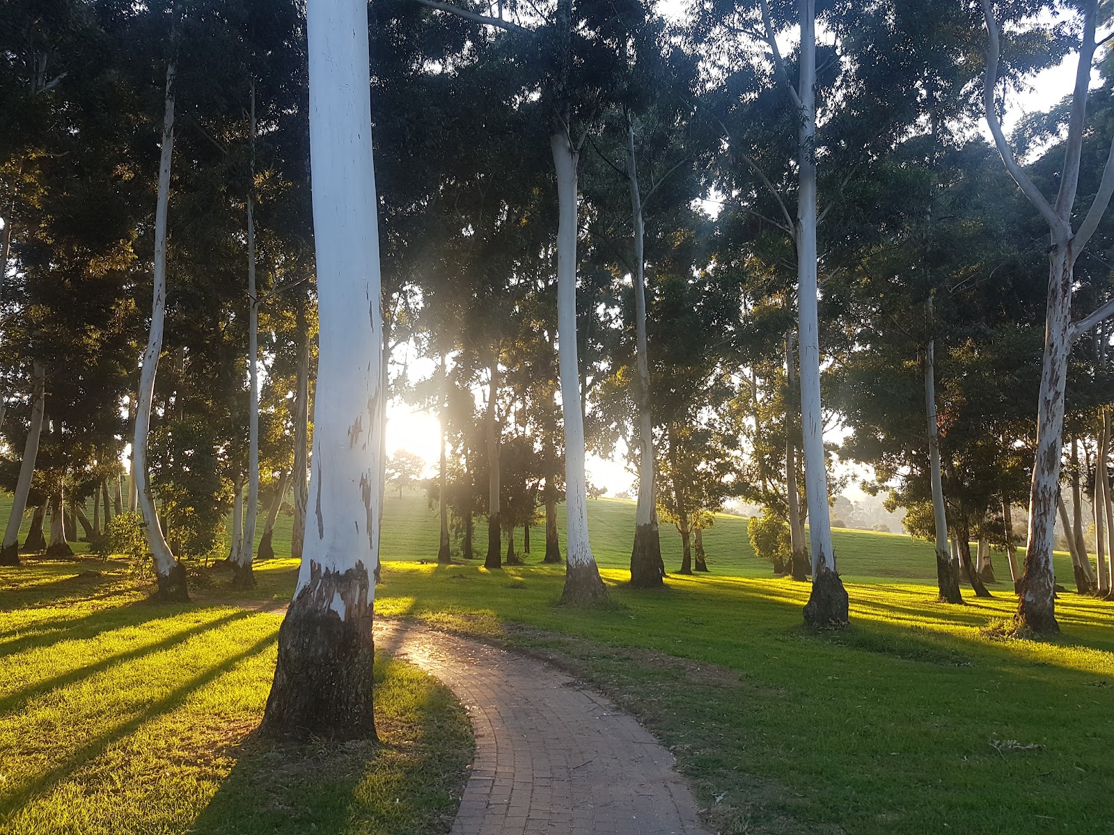 James & Ethel Gray Park