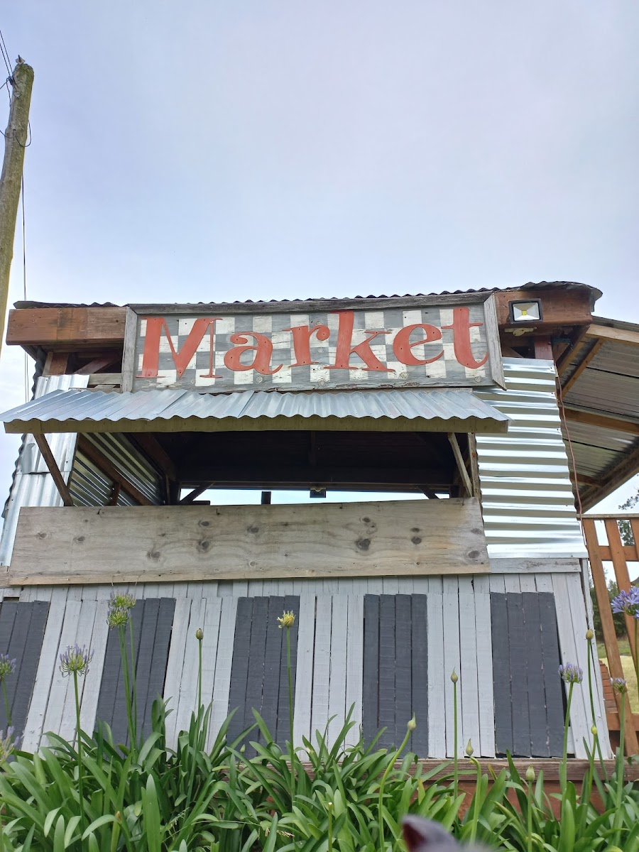The Friday Market At Knysna Montessori