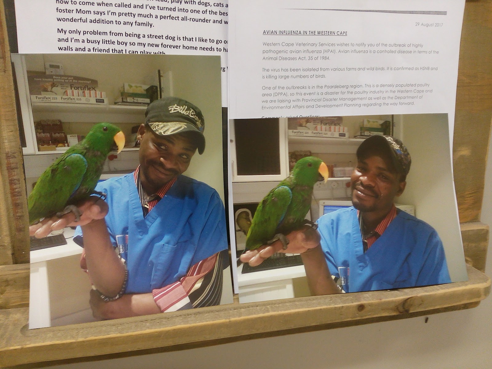 Steenberg Veterinary Clinic