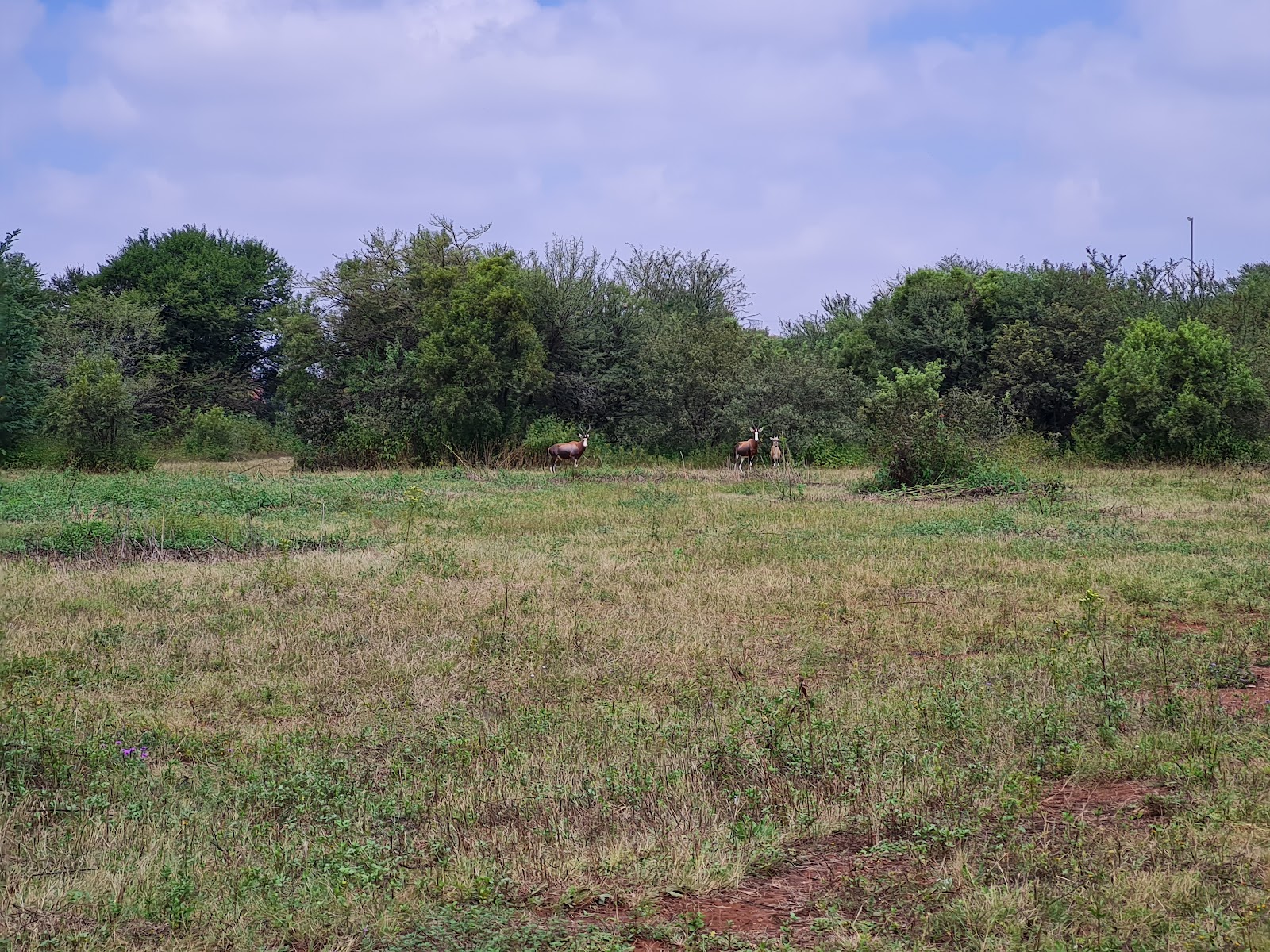 Bishop Bird Park
