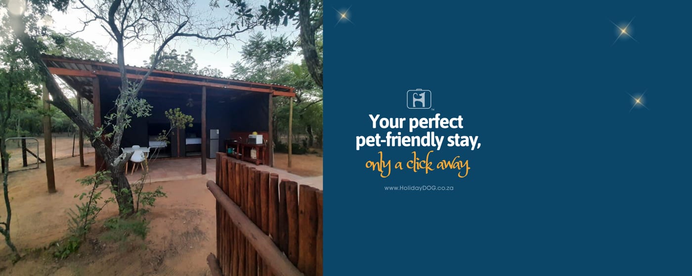 Bosbok Tented Camp — photo 2