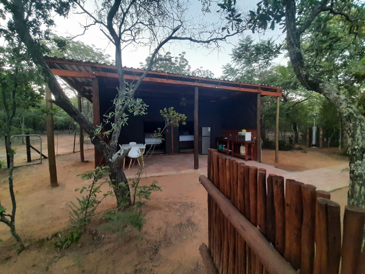 Bosbok Tented Camp — photo 3