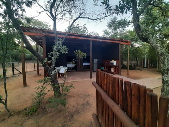 Bosbok Tented Camp — photo 4
