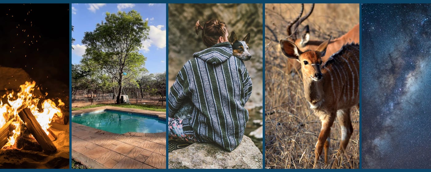Bosbok Tented Camp — photo 5