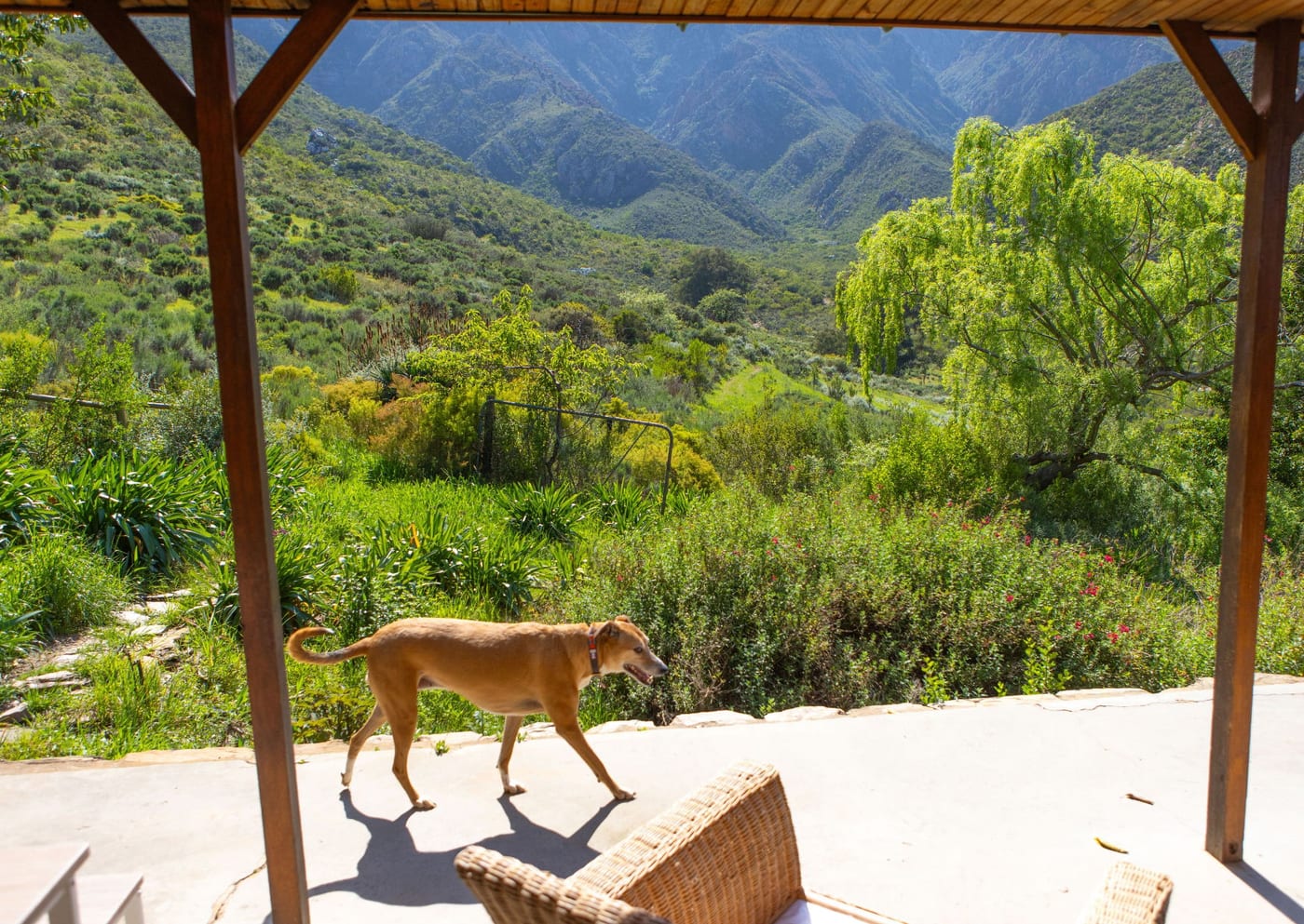 Quince Cottage — photo 4