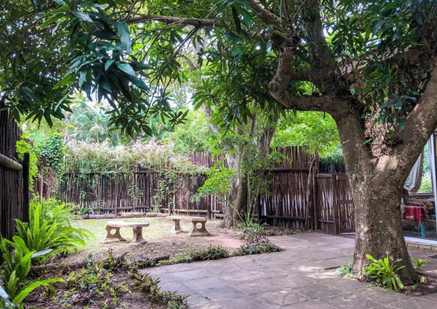 Nyalazi — photo 4