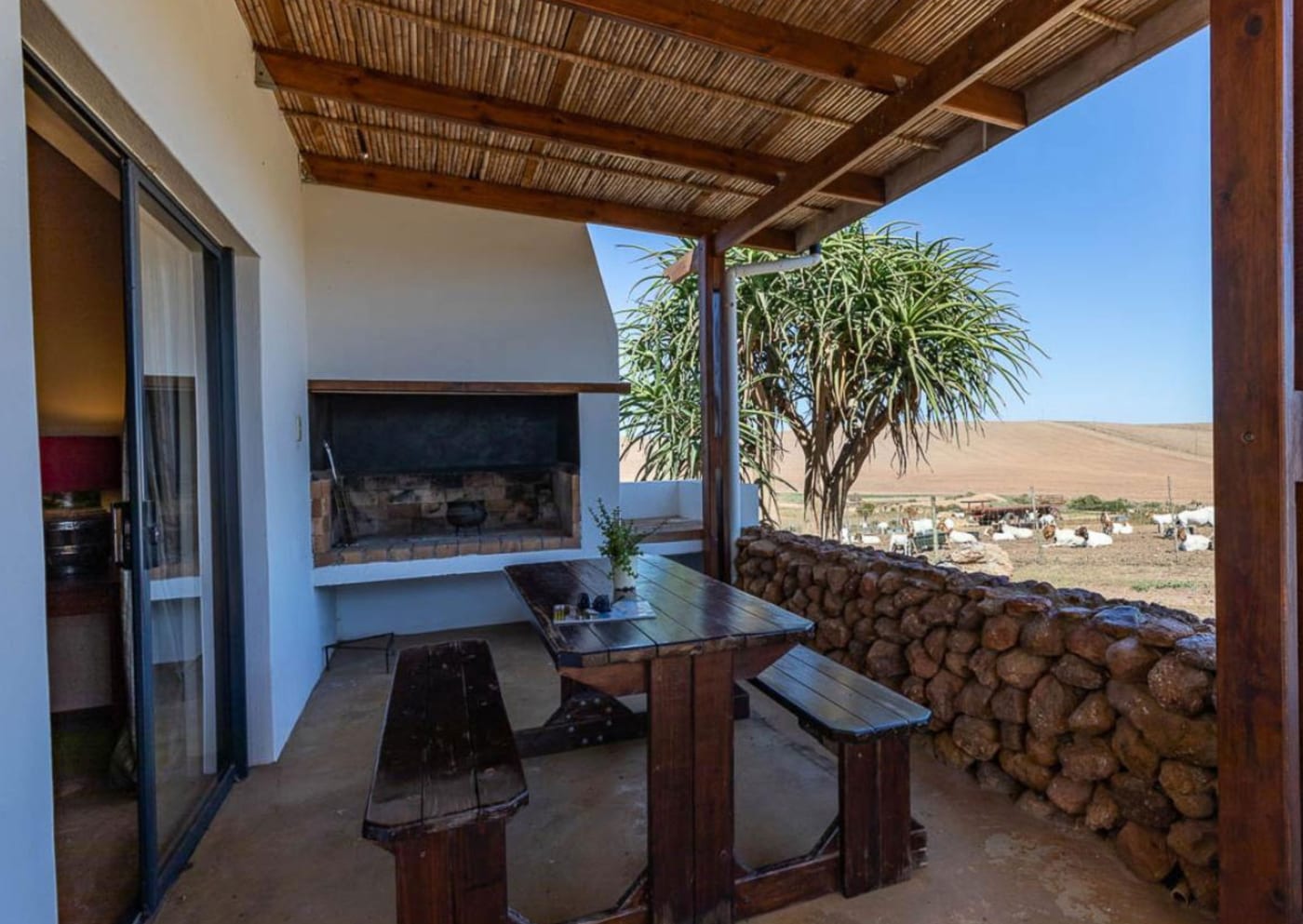 Aloe Cottage — photo 5
