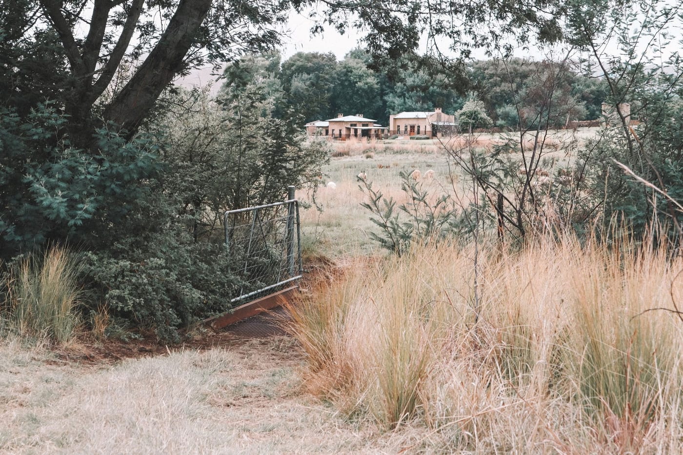 Oak House — photo 2