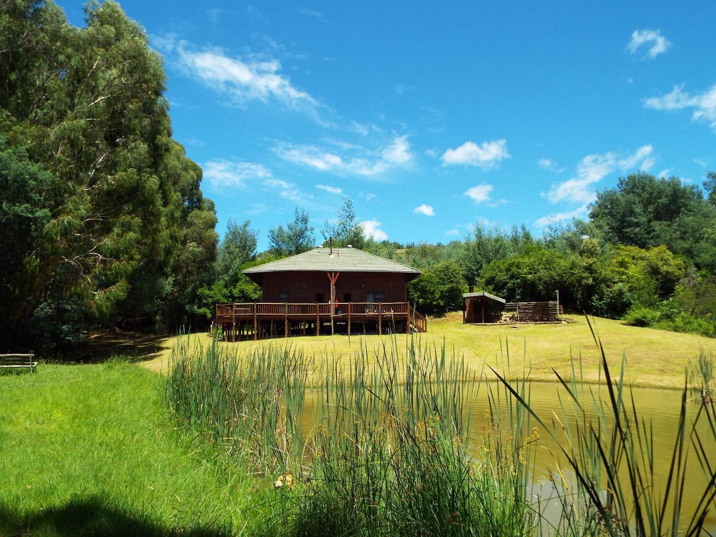 Pet Friendly Cabin Waterval Boven — photo 2