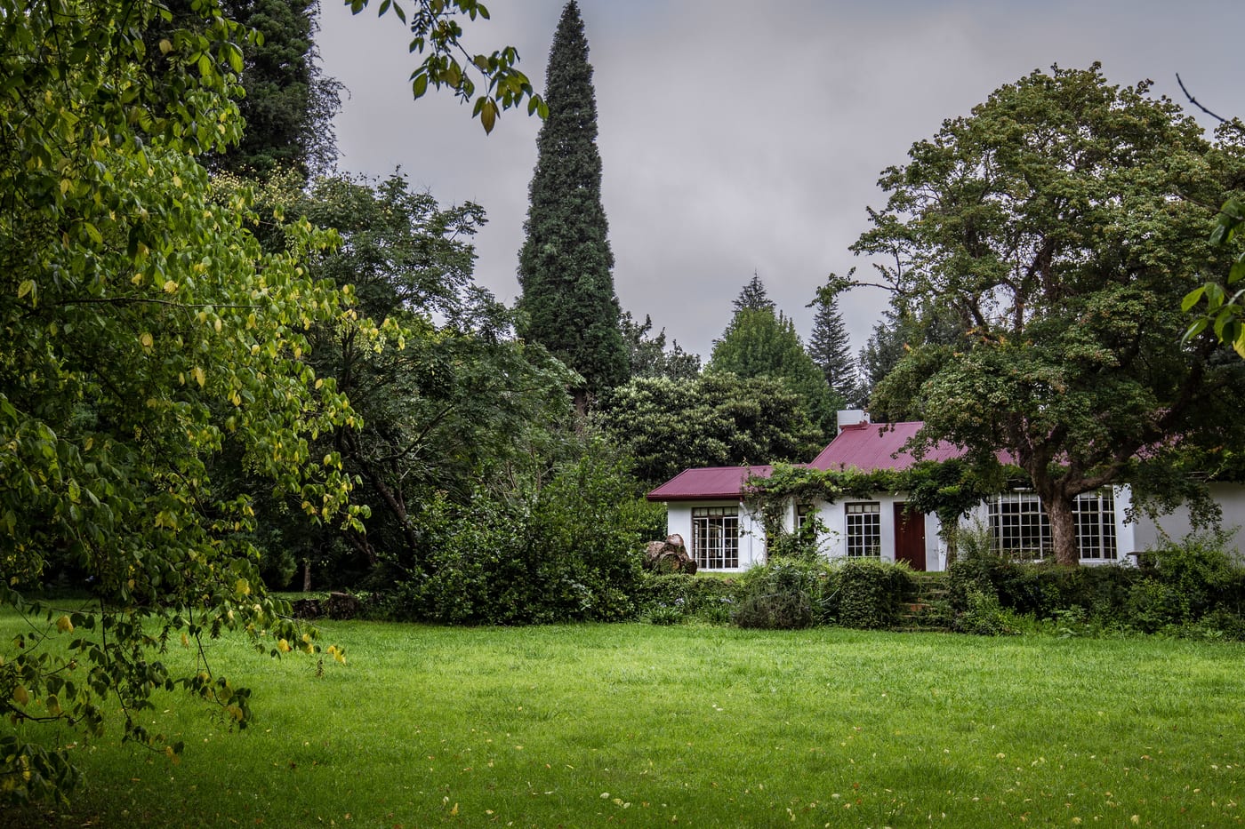 Wisteria Cottage — photo 2
