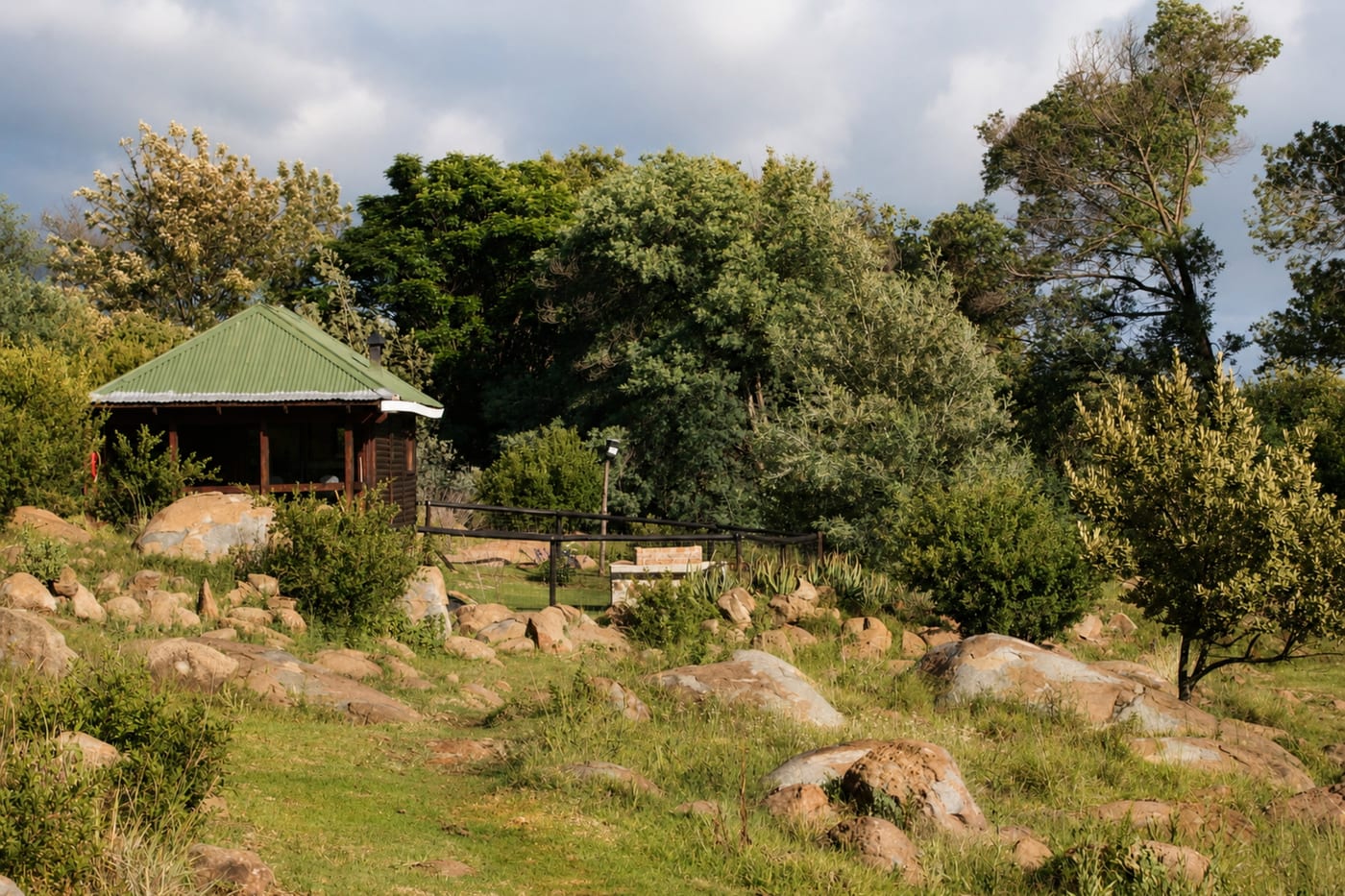 Dragonfly Cabin — photo 2