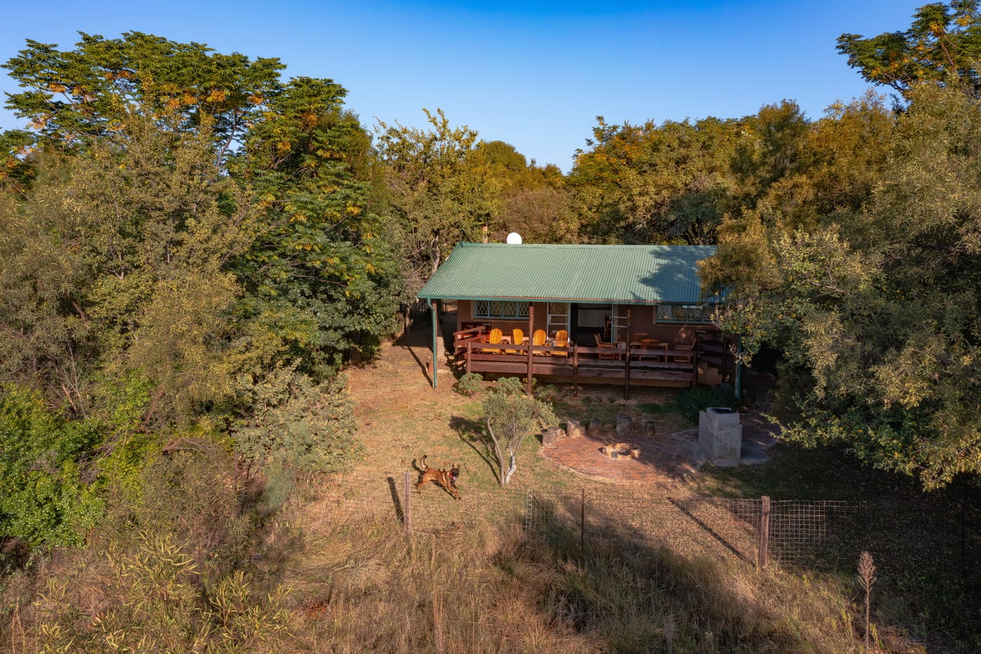 Suikerbos Cottage — photo 4