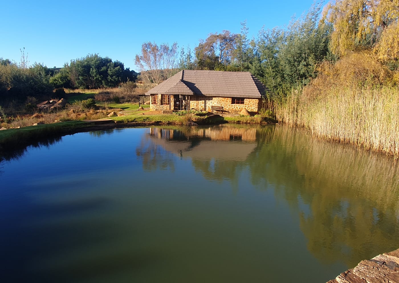 Brown Cabin — photo 3