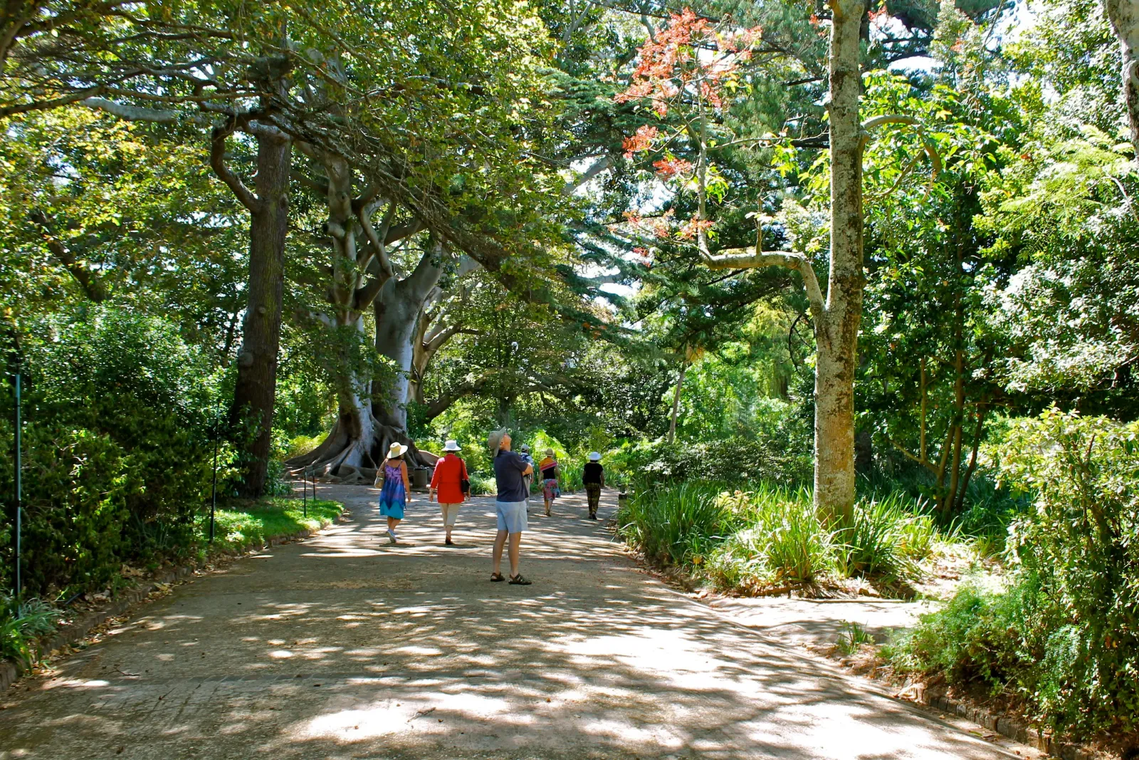 Arderne Gardens — photo 3