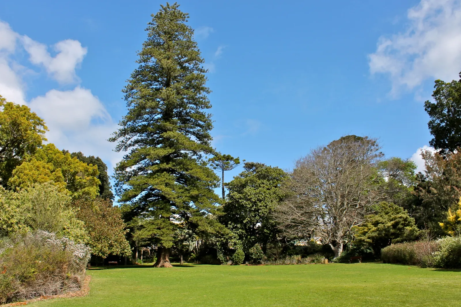 Arderne Gardens — photo 4