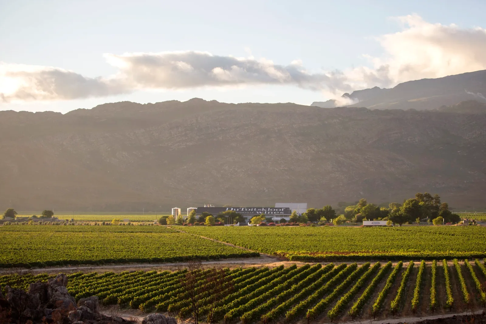 Du Toitskloof Wines — photo 4