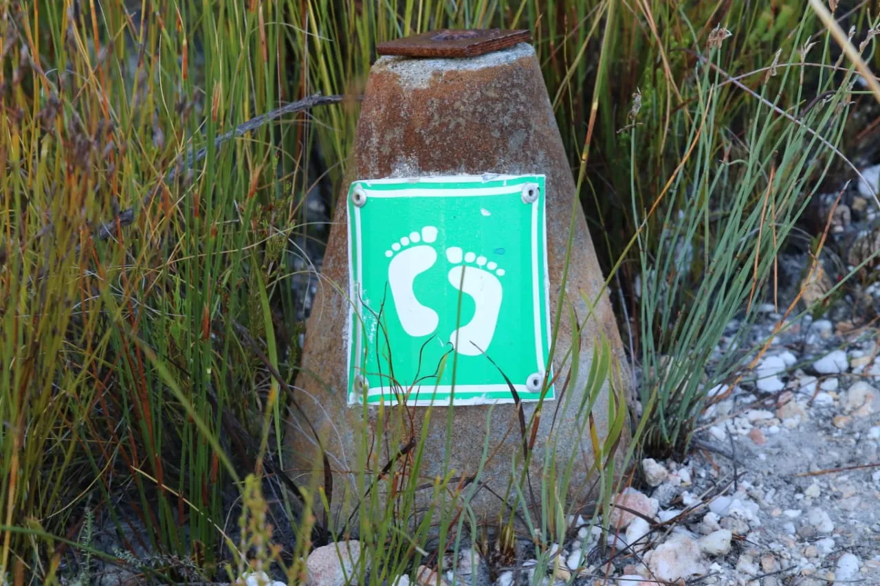 Christie Prins Hiking Trail — photo 3