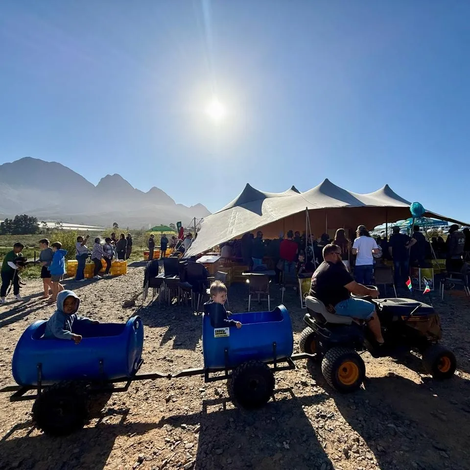 Pure Boland Market — photo 5