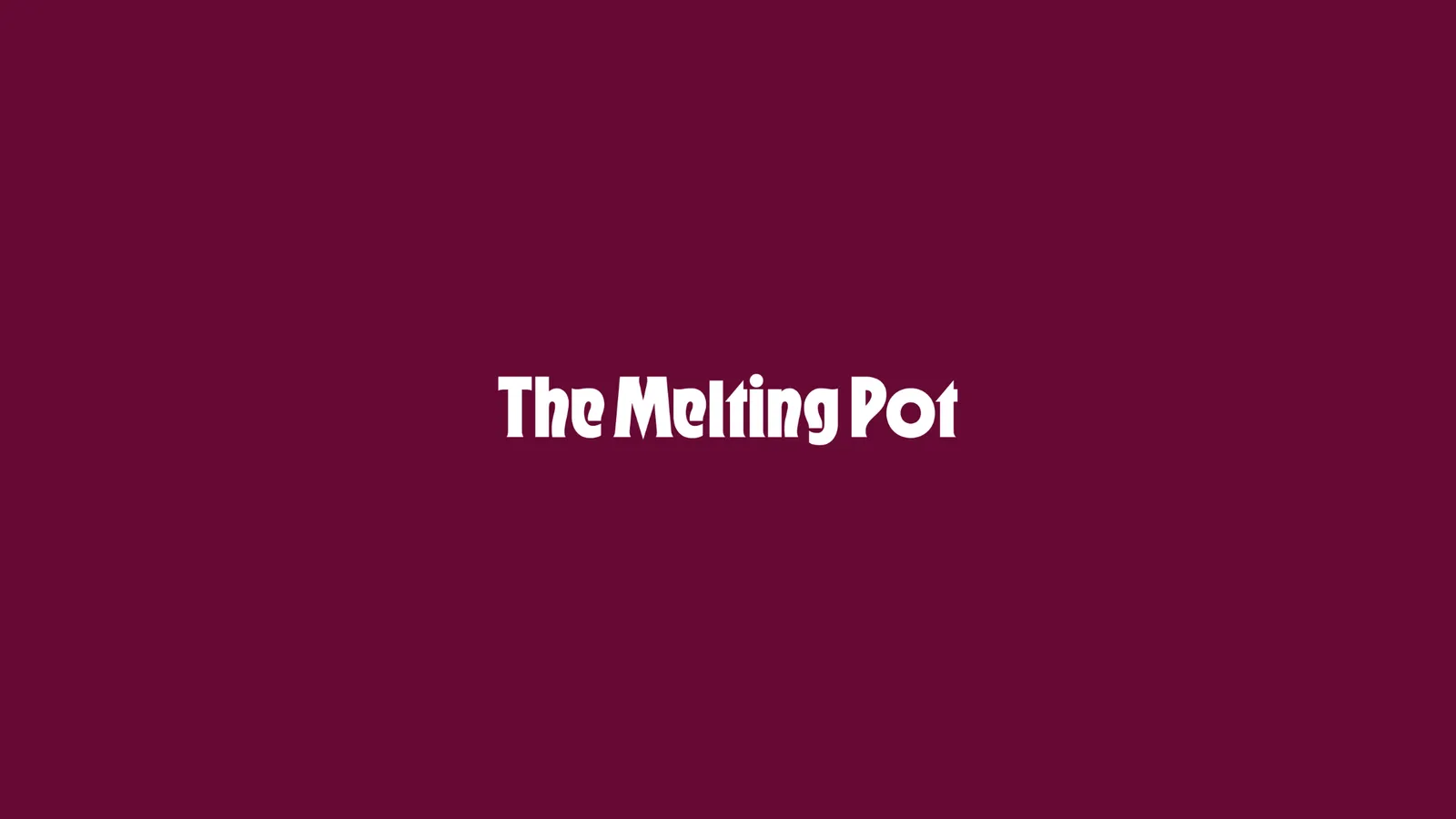 The Melting Pot — photo 2