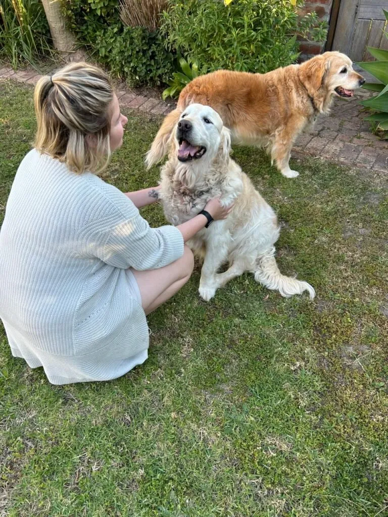 Paws & Play Pet Sitting — photo 2