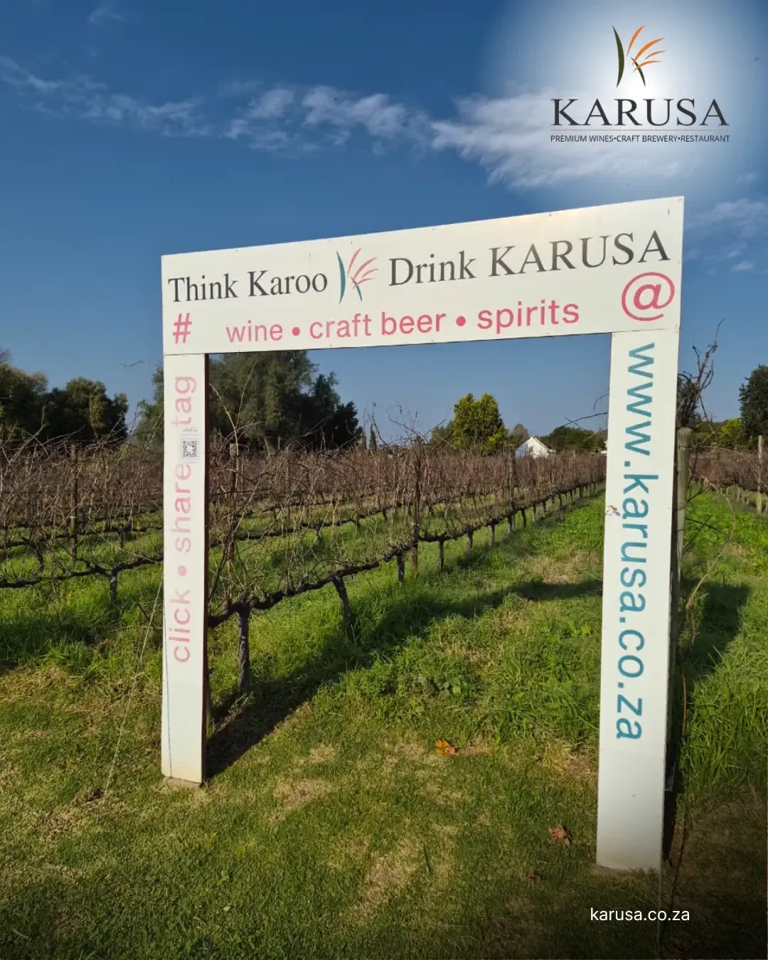 Karusa Vineyards — photo 2