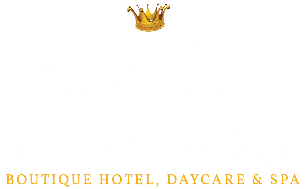Maxi's Palace Boutique Hotel, Daycare & Spa — photo 2
