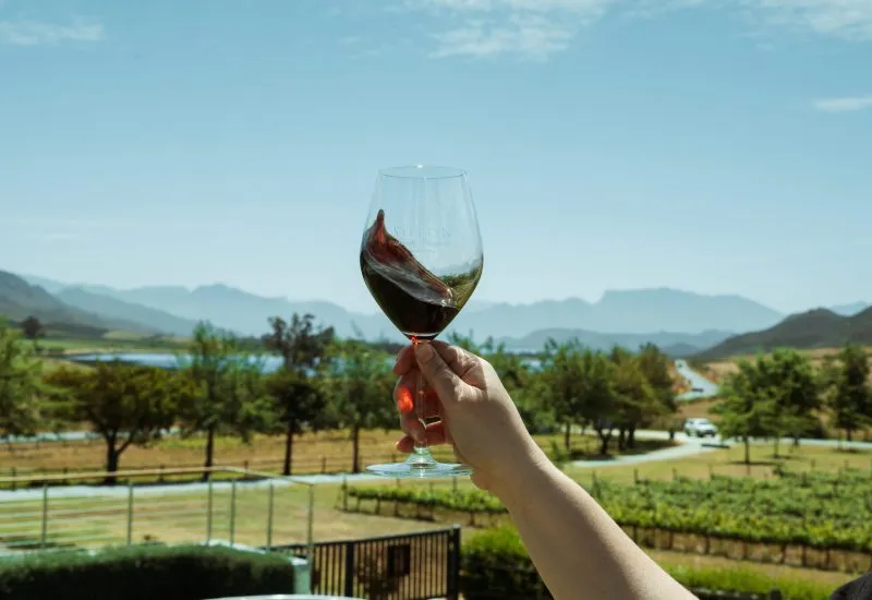 Stettyn Family Vineyards — photo 2