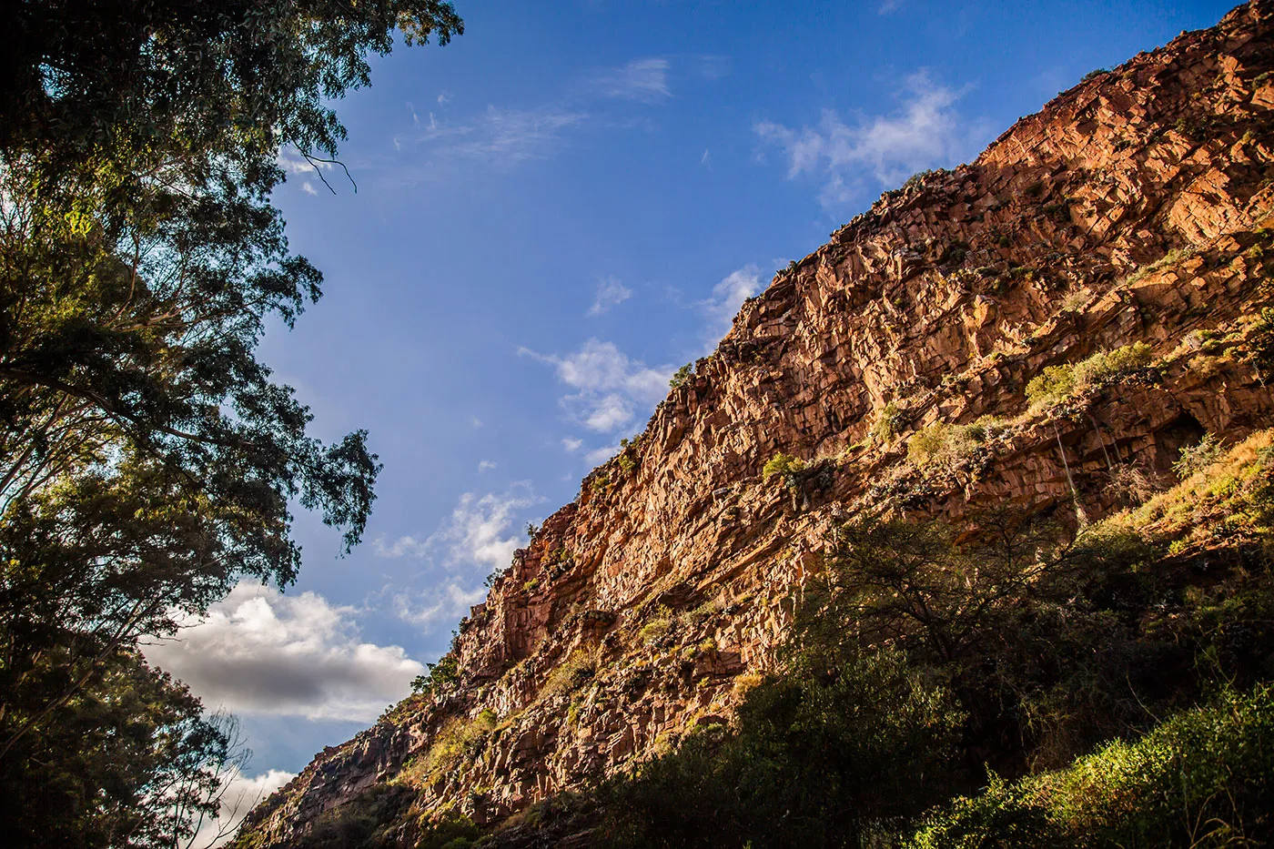Van Loveren Fish Eagle Trail — photo 4