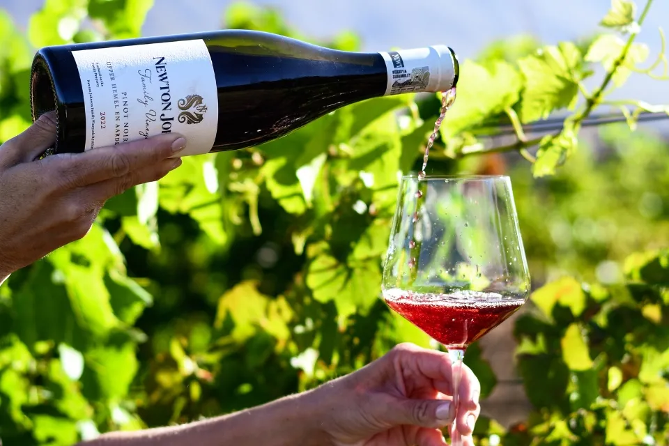 Newton Johnson Family Vineyards — photo 2