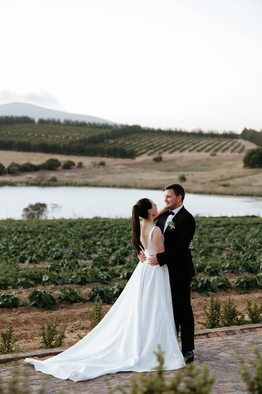 Middelvlei Wine Estate — photo 4