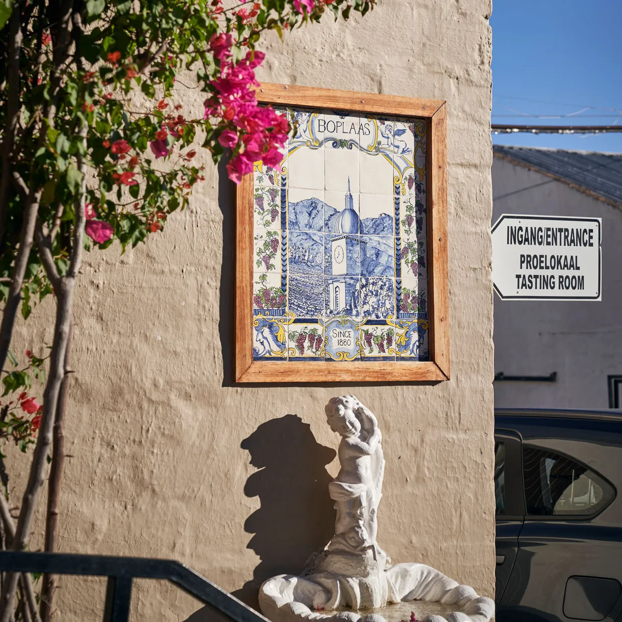 Boplaas Family Vineyards — photo 2