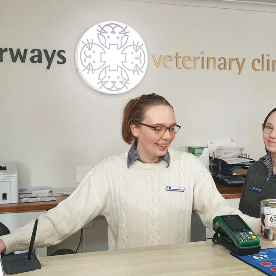 Fourways Veterinary Clinic — photo 4