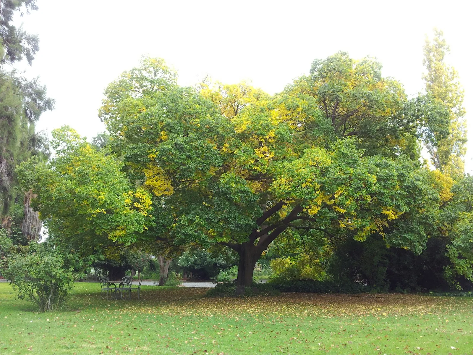 Three Sisters Guest Farm — photo 4