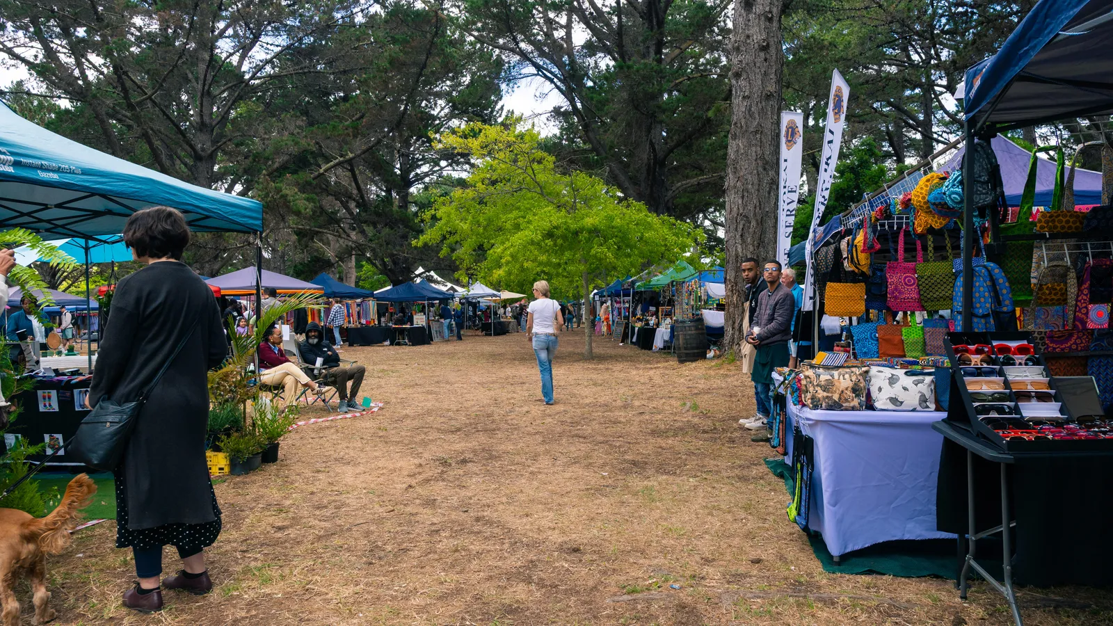 Alphen Market — photo 5