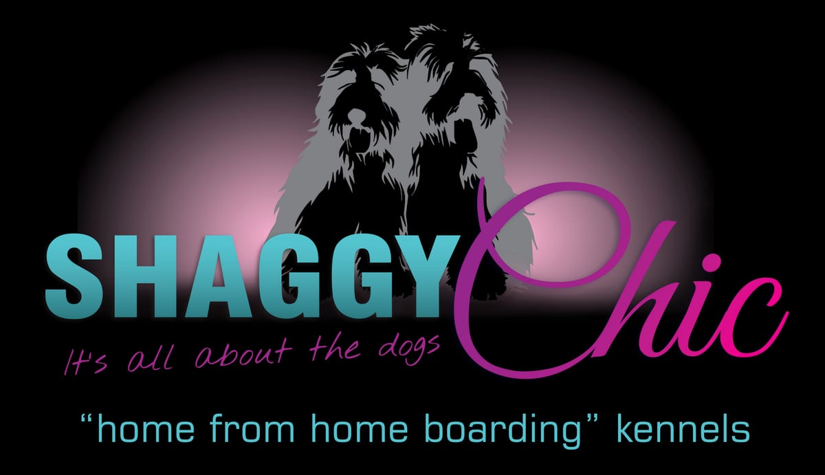 Shaggy Chic