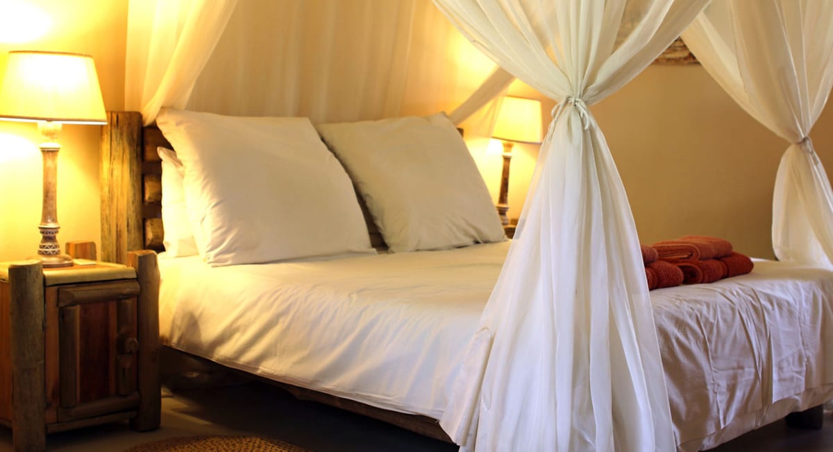 crocodile nest b&b