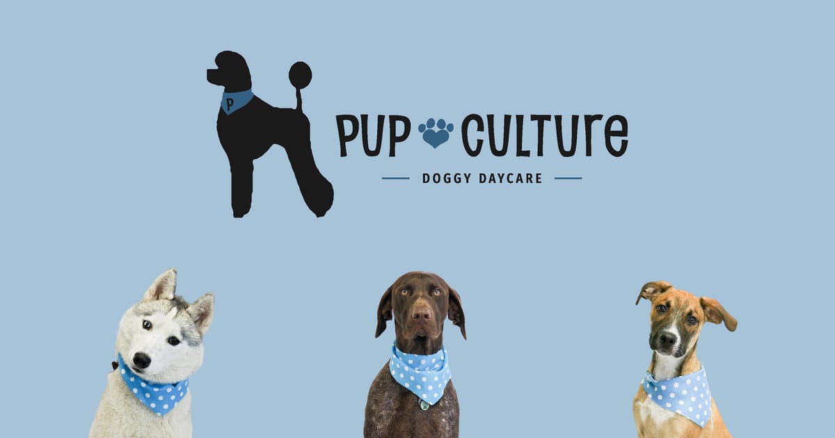Pupculture Doggy Daycare