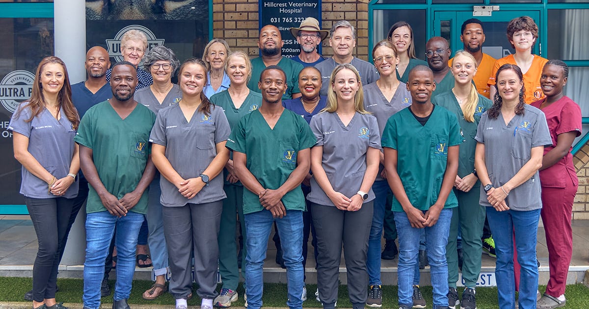 Hillcrest Veterinary Hospital