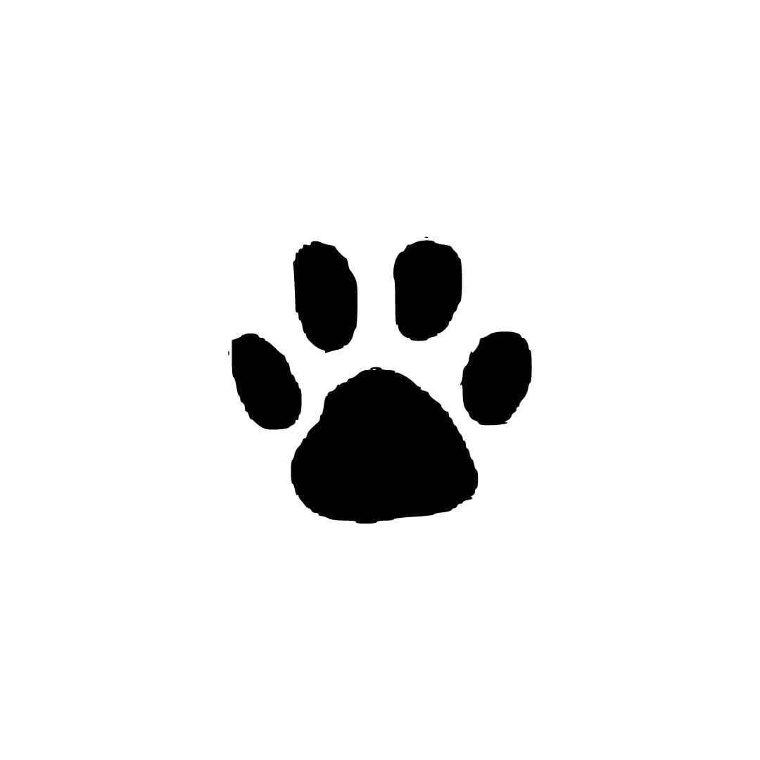 East London Veterinary Hospital