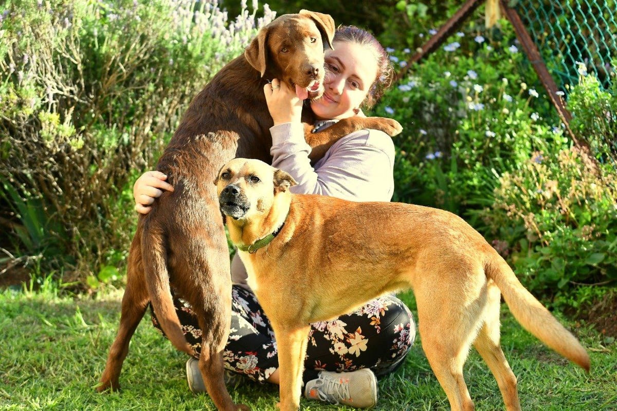 POOCH : Doggy Daycare, Home-style Boarding, Training, & Adventure Walks