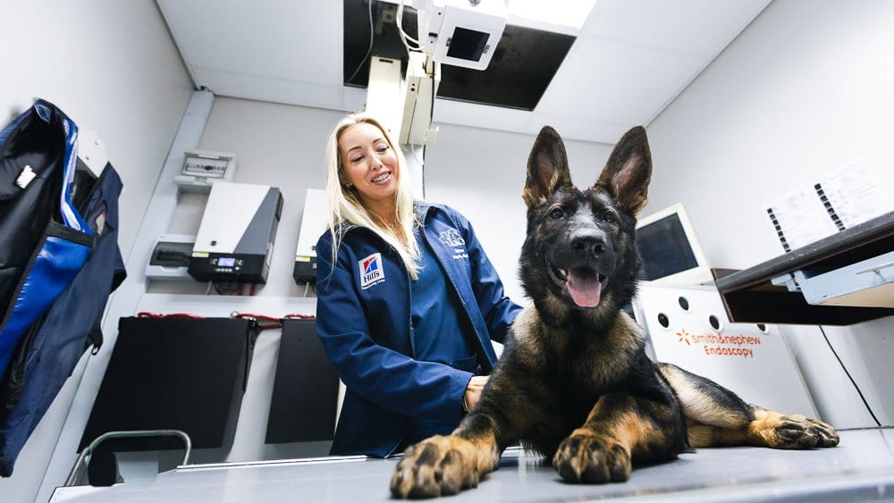 Ashburne Veterinary Hospital