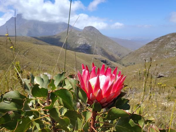 Outeniqua Nature Reserve