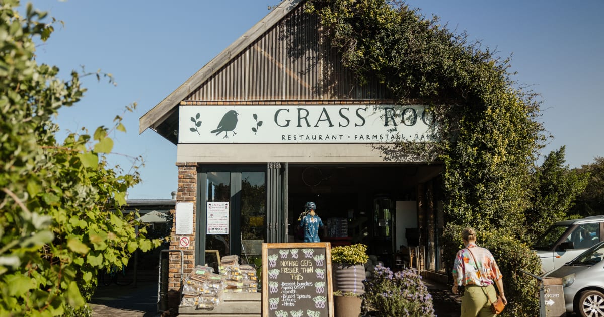 Grass Roof
