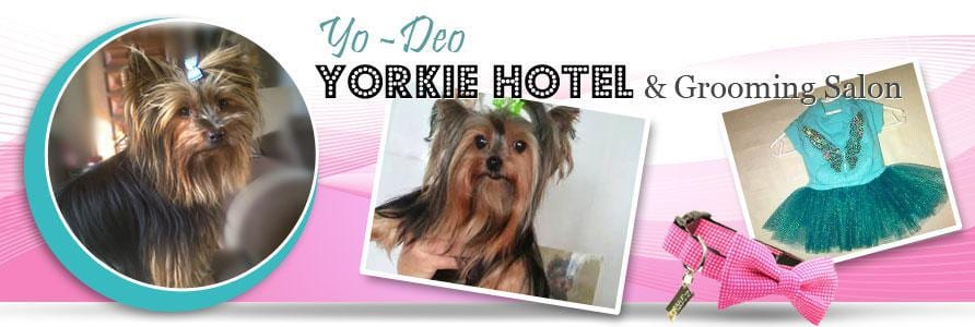 Yo-Deo Yorkie Hotel & Grooming Salon