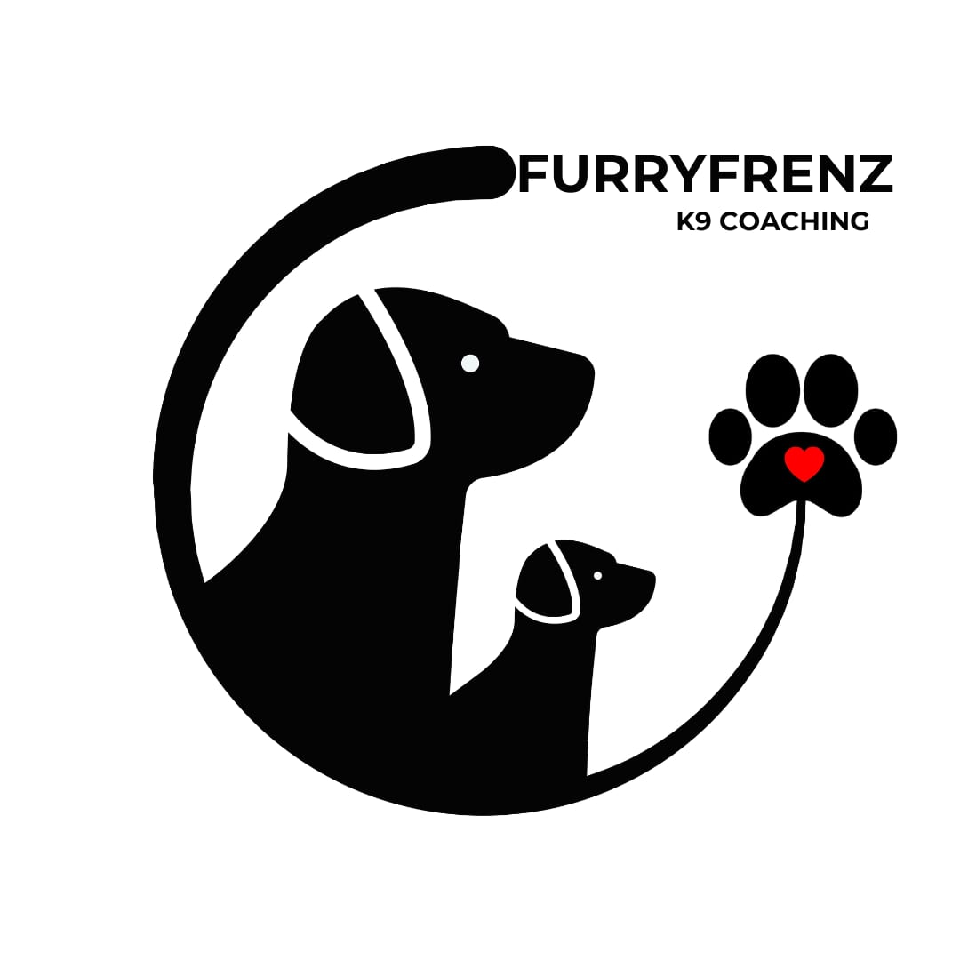 FurryFrenz Dog Training — photo 2