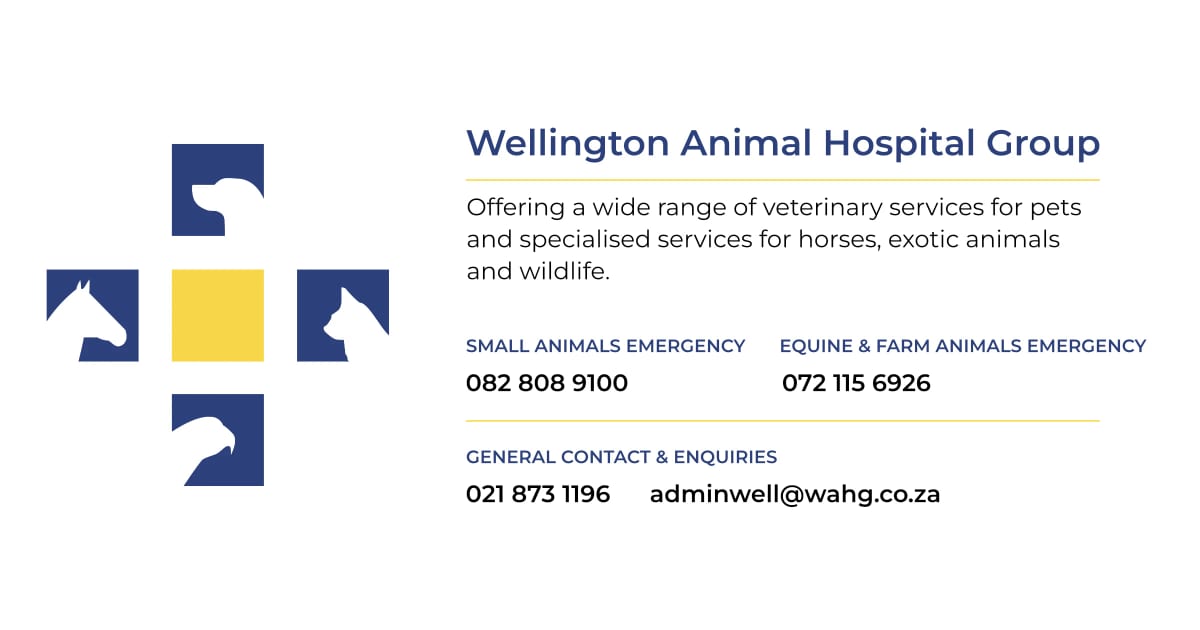 Franschhoek Animal Clinic