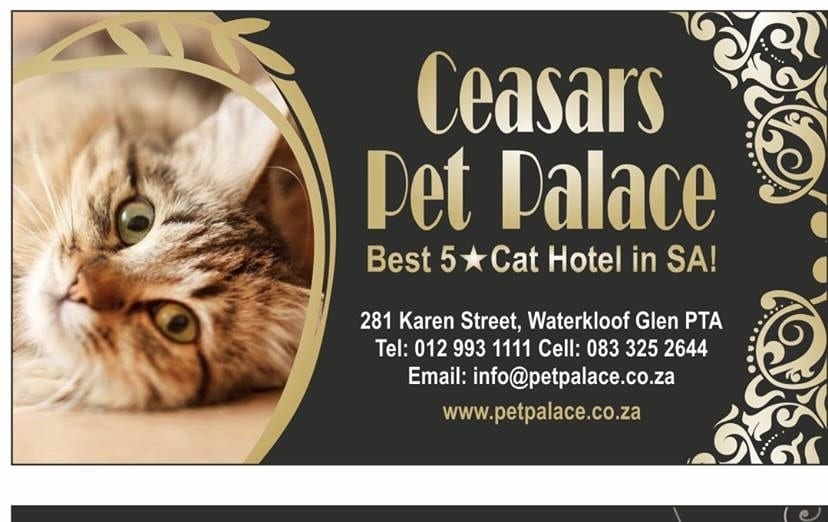 Ceasars Pet Palace