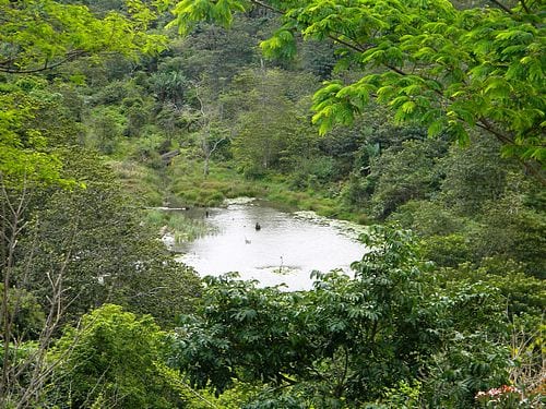 Iphithi Nature Reserve — photo 2